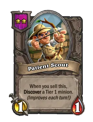 Patient Scout