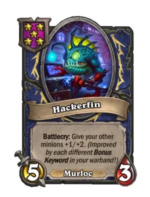 Hackerfin card